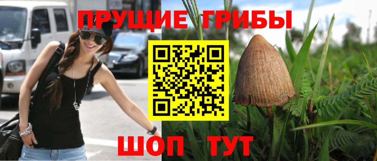 Псилоцибиновые грибы мухоморы  Вход с VPN  Кушва  купить  цена  Галлюциногенные грибы мицелий 