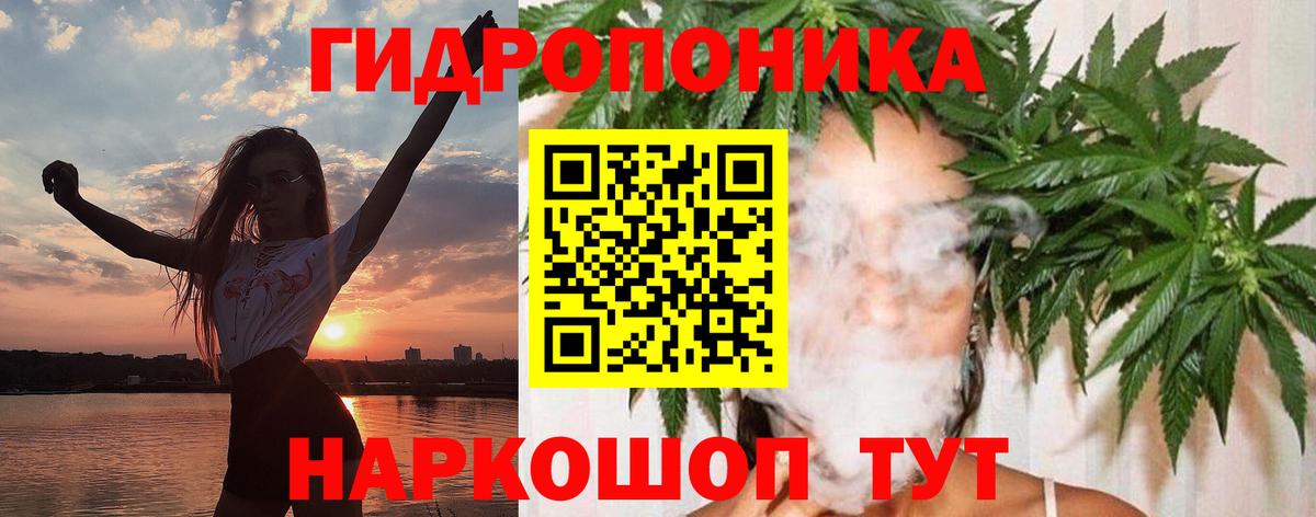 Конопля индика Кушва